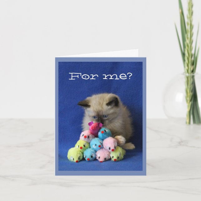 Cross-Eyed Kitten with Toy Mice Thank You Card (Front)