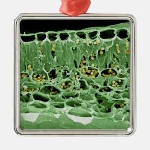 Cross Section of Leaf Metal Tree Decoration