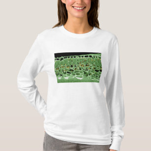 Cross Section of Leaf T-Shirt