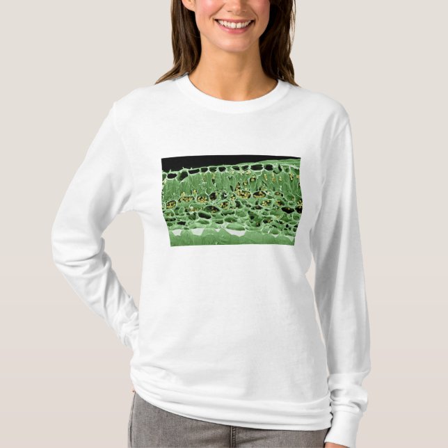 Cross Section of Leaf T-Shirt (Front)