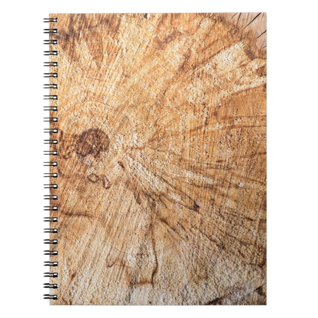 Cross-section of the apple tree (Malus)abstract, b Notebook (Front)