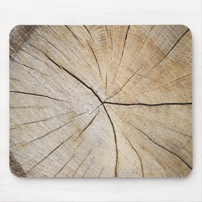 Cross section of tree trunk mouse mat (Front)