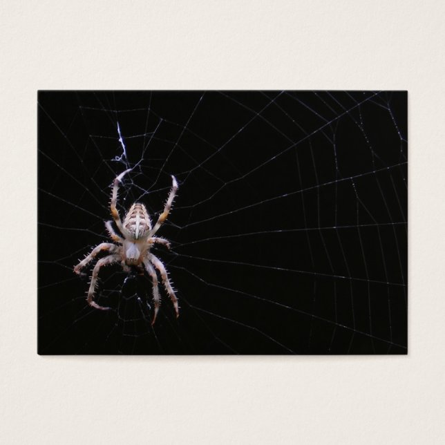 Cross Spider ~ ATC (Front)