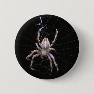 Cross Spider ~ button