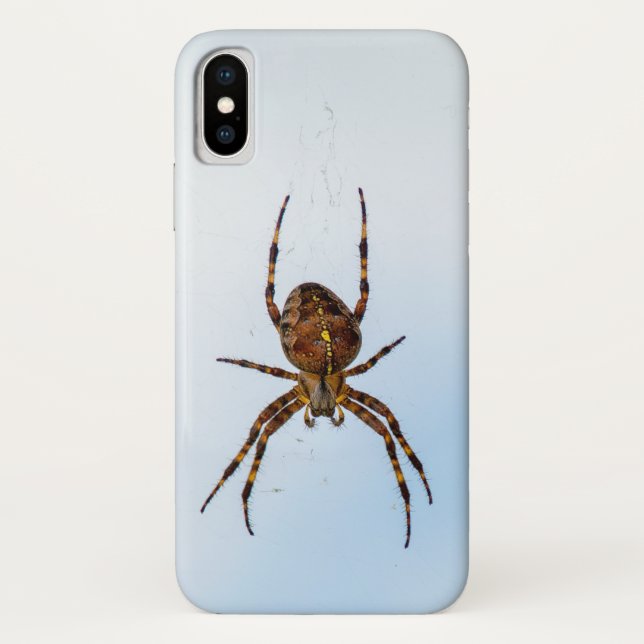 cross spider in web Case-Mate iPhone case (Back)