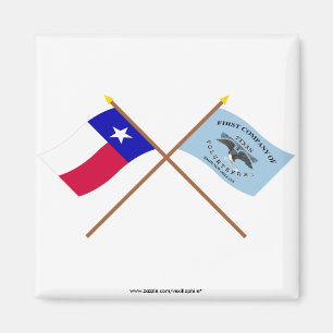 Crossed Texas and New Orleans Greys Flags Magnet