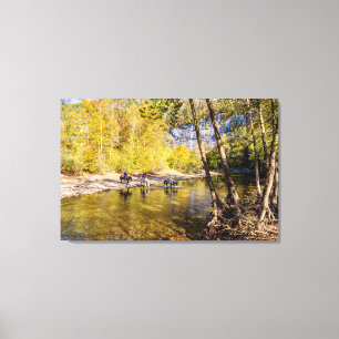 Crossing The Buffalo River Canvas Print