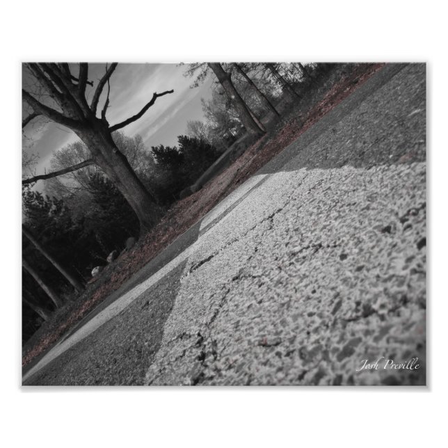 Crossing the Road 8x10 Photo Print (Front)