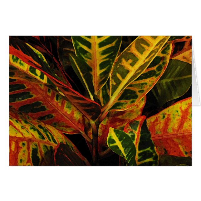 Croton Leaves Abstract (Front Horizontal)