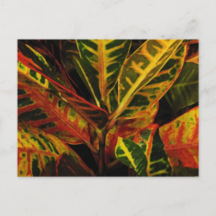 Croton Leaves Abstract Postcard