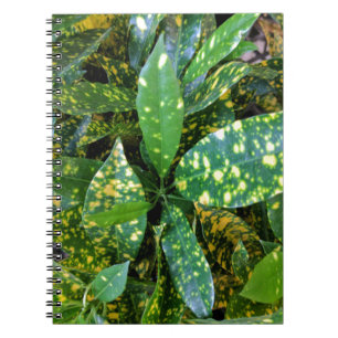 Croton Plant Notebook