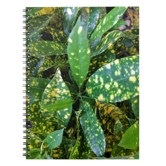 Croton Plant Notebook (Front)