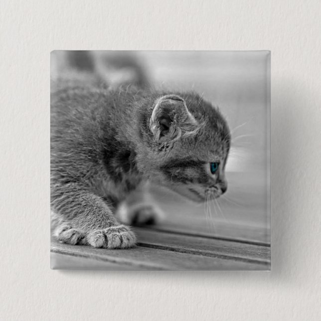 Crouching Kitten 15 Cm Square Badge (Front)