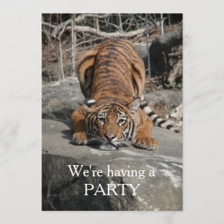 Crouching Tiger Customisable invite