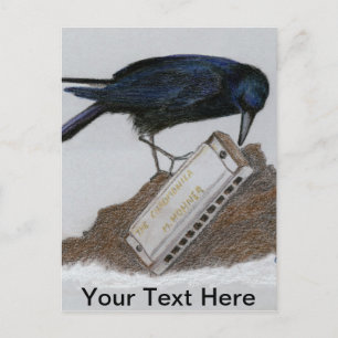 Crow and Harmonica Postcard