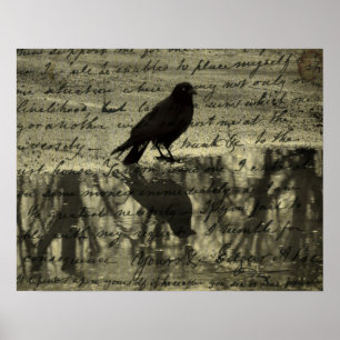 Crow And Poe Papers Poster