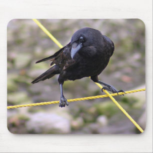 Crow at Crossroads Mouse Mat