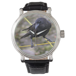 Crow at the Crossroads Watch