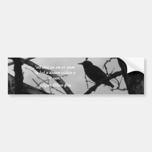 Crow Bumper Sticker