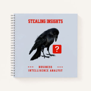 Crow Business Intelligence Analyst Notebook