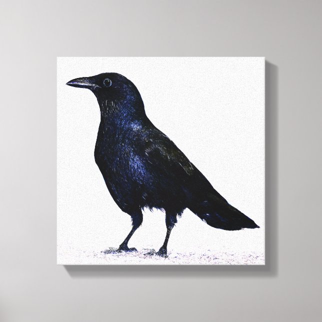 Crow Canvas Print (Front)