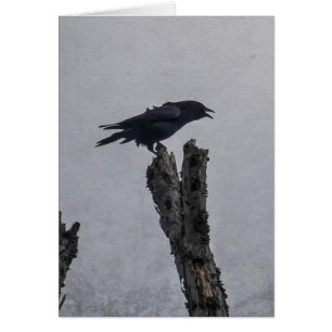 Crow Card