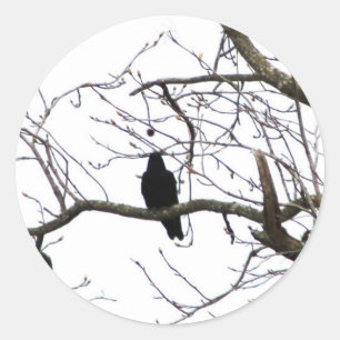 Crow Classic Round Sticker