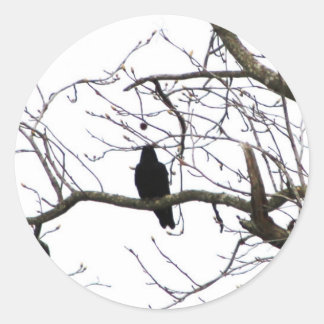 Crow Classic Round Sticker