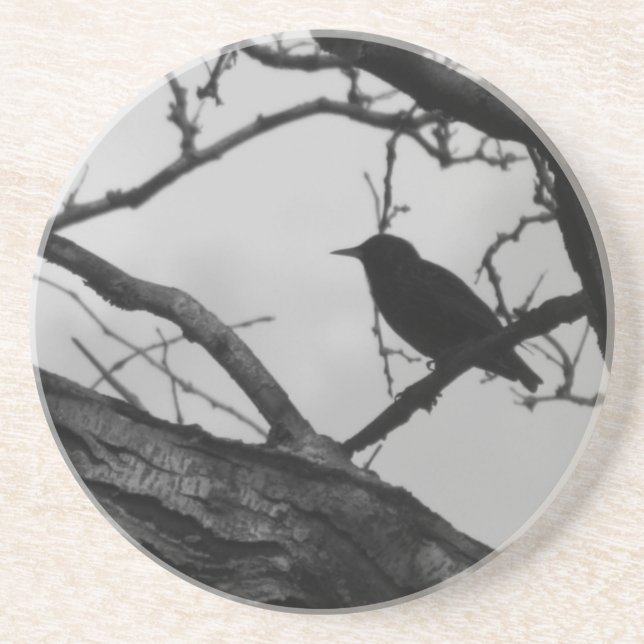 Crow Coaster (Front)