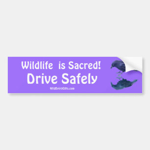 CROW Collection Bumper Sticker