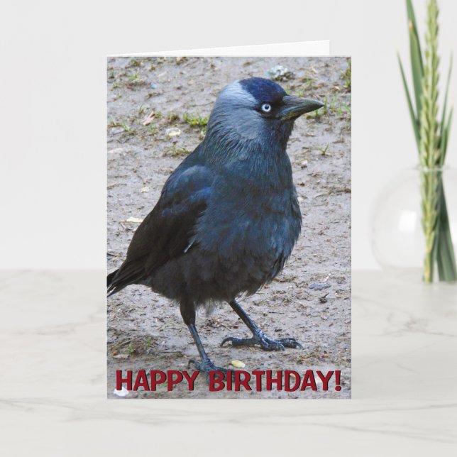 Crow customisable greetings card (Front)