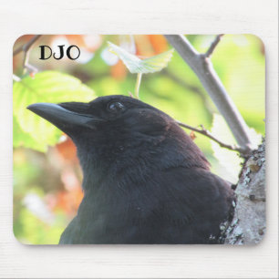 Crow Extreme Close Up Mouse Mat