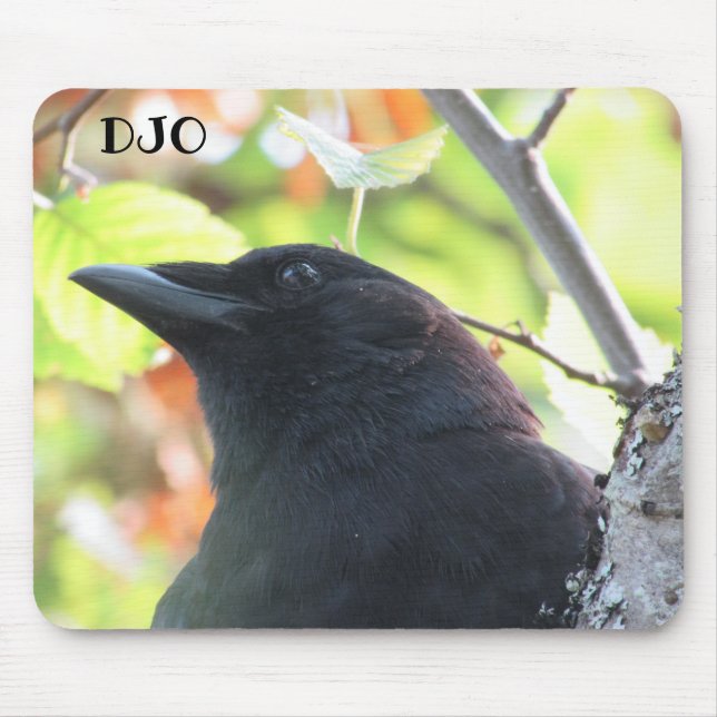 Crow Extreme Close Up Mouse Mat (Front)