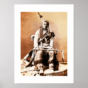 Crow Indian 1880 Poster