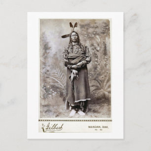 Crow King 1880 Postcard