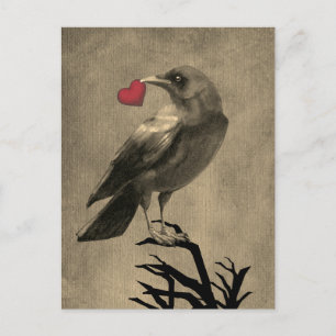 Crow Love Blank Postcard