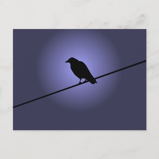 Crow on a Telephone Wire Postcard (Front)