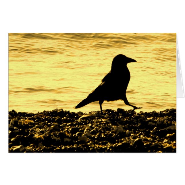Crow on the Beach (Front Horizontal)