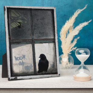 Crow Outside The Old Window Plaque