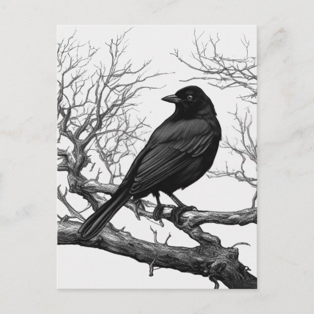 Crow Perched on Bare Winter Branches Postcard (Front)