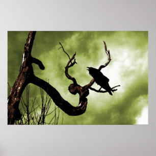 Crow Perching On A Dead Tree Branch Poster