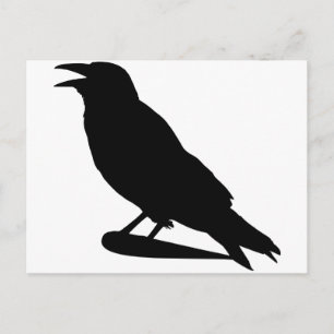 Crow Postcard