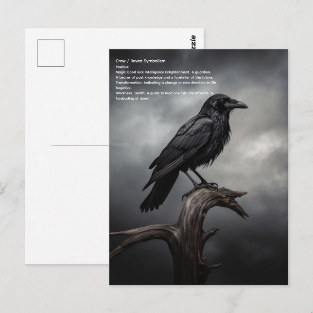 Crow Postcard (Front/Back)