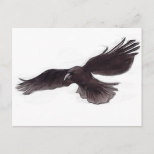 Crow Postcard