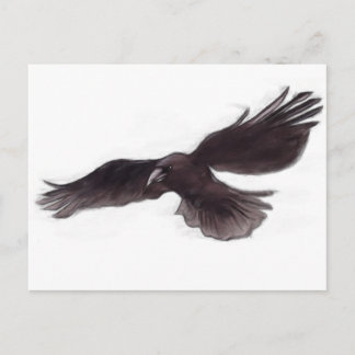 Crow Postcard