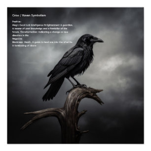 Crow Poster