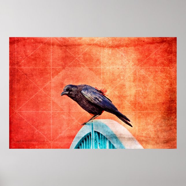 crow poster (Front)