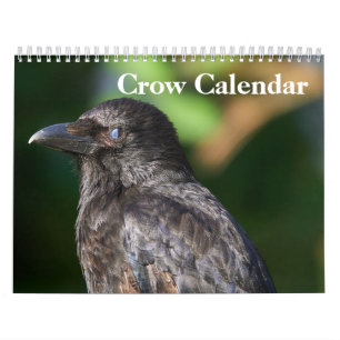 Crow Raven 2026 Calendar