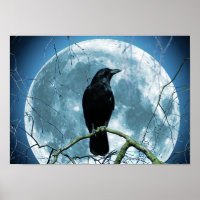 Crow Raven Moon Night Gothic Fantasy Stunning