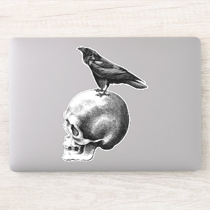 Crow Sitting On Human Skull goth Art